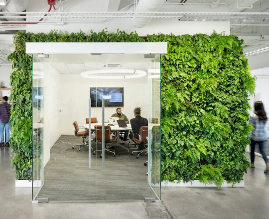 Clean, Green and Sustainable Offices - Respira