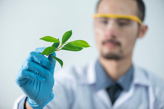 Debunking Claims About Plants and Clean Air - Respira