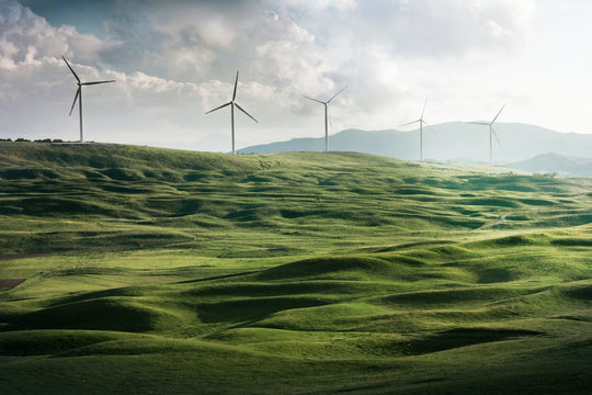 The Green Tech Revolution: Current Trends and The Future - Respira